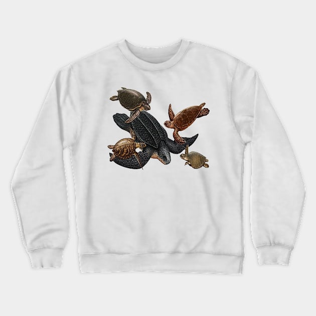 The Navigators Crewneck Sweatshirt by AROJA